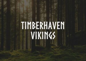 Timberhavn Vikings